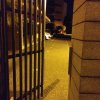 dia 18 de julho de 2019 3.30